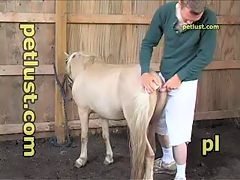 Goat And Boy Xxxx - Zoo Gay XXX - Male beast porn. Horny gay must fuck animals because ...